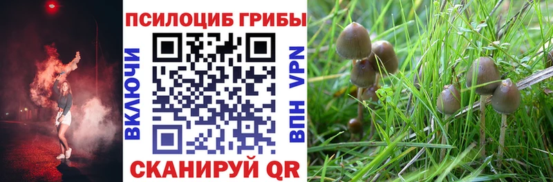 Псилоцибиновые грибы прущие грибы  где можно купить   Глазов 