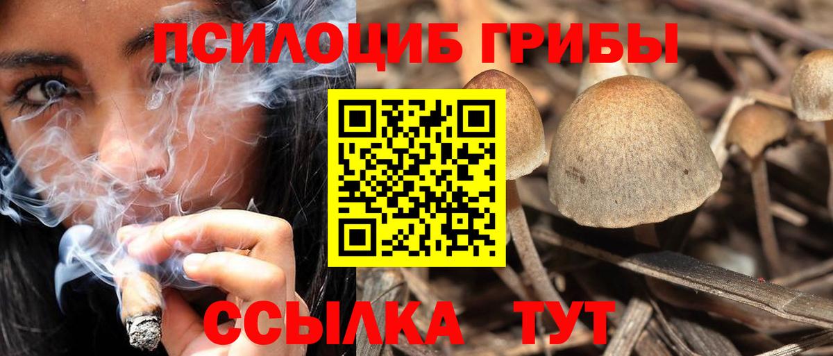 Галлюциногенные грибы прущие грибы Глазов