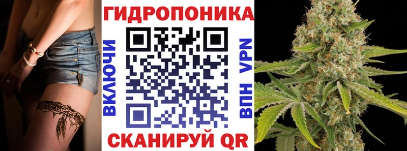 купить закладку  Глазов  Марихуана сатива 